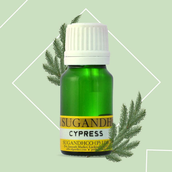 Cypress Oil 10ml