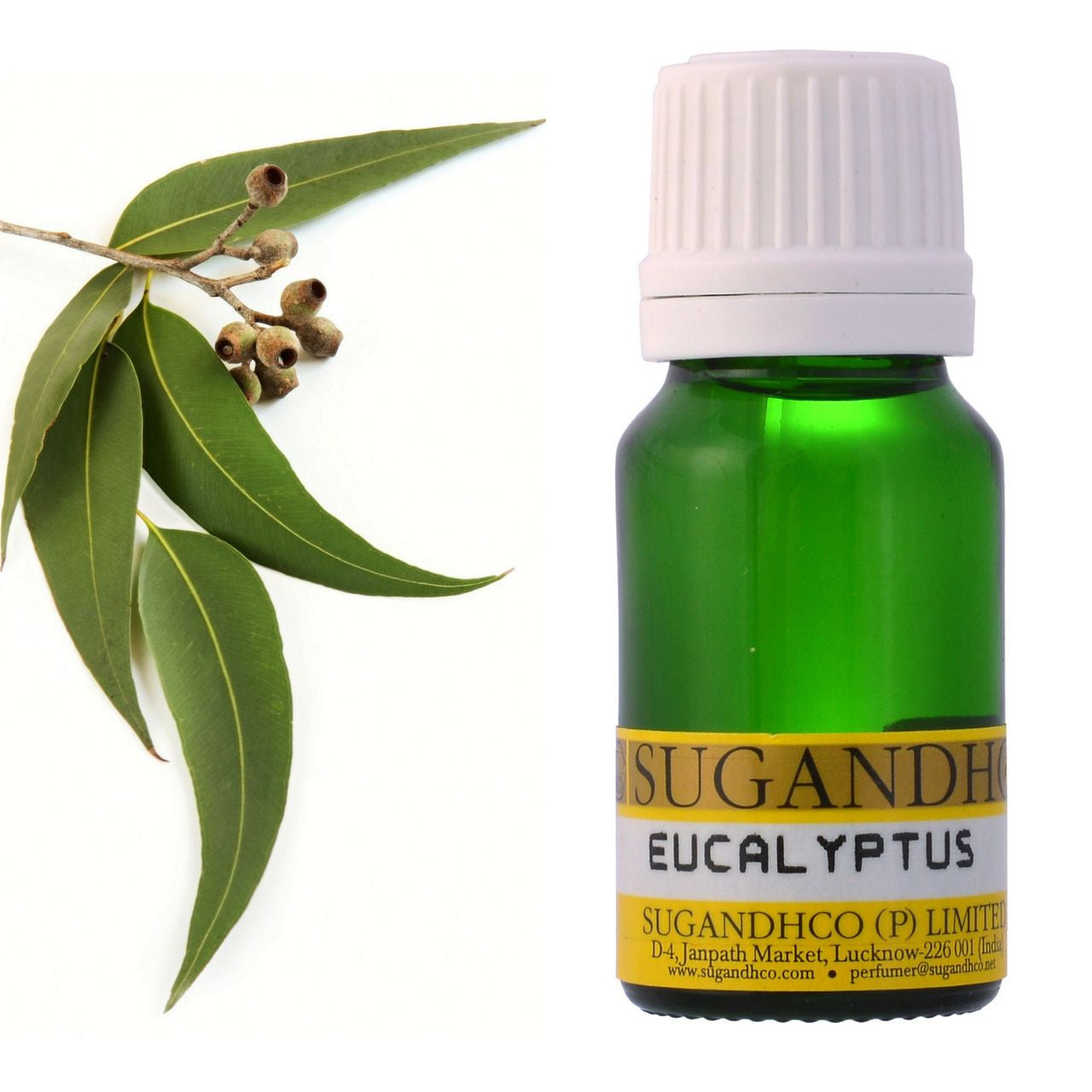 Eucalyptus Oil 