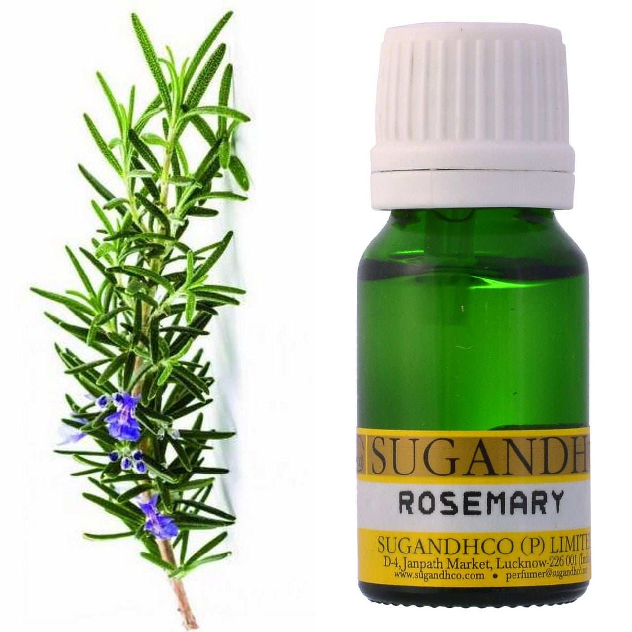 Rosemary Oil