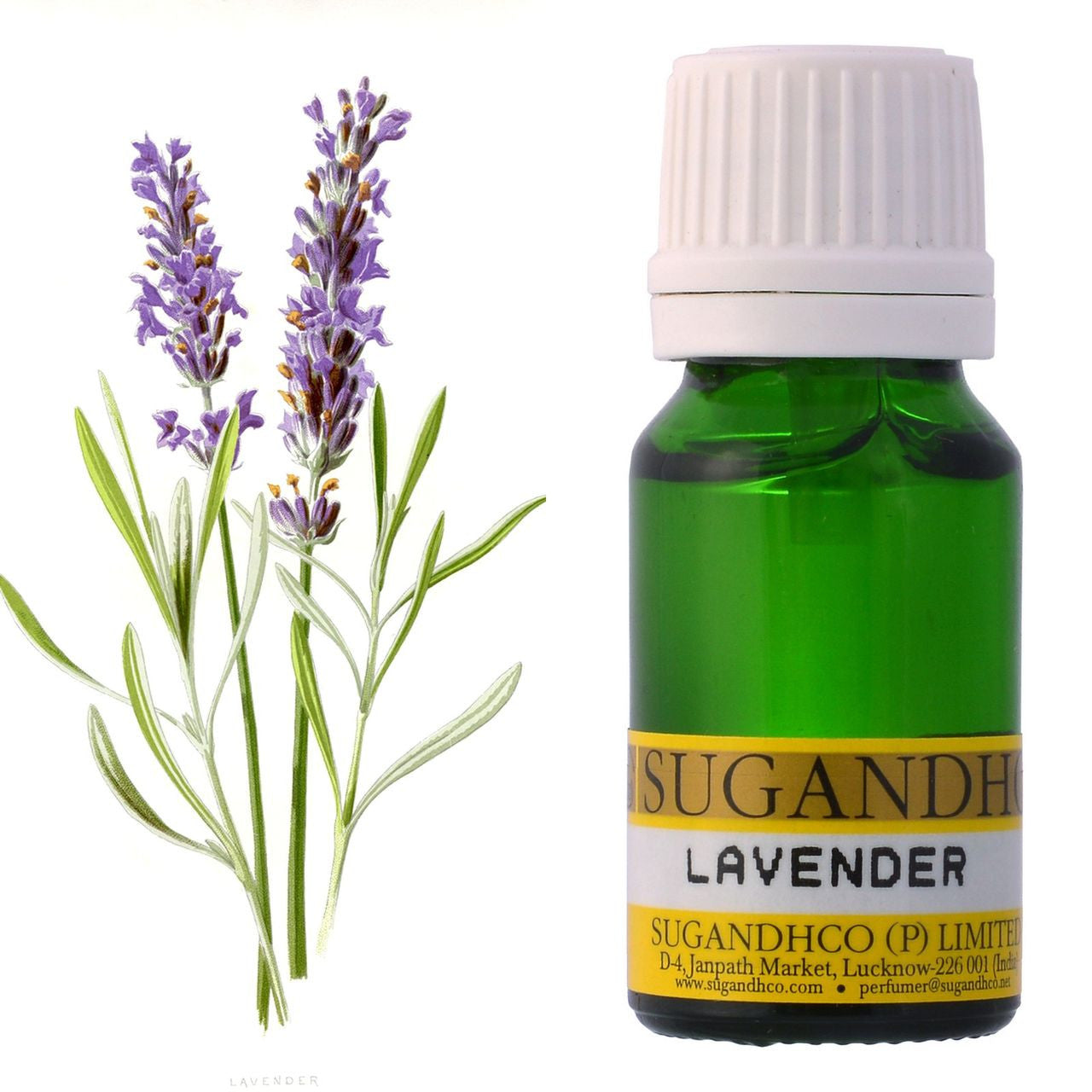 Lavender Oil